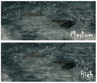 Illustration for article titled Here's Skyrim on "Max" Settings